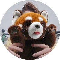 Red panditah (@redpanditah) 's Twitter Profile