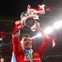 Lichismo (@lichismoarg) Twitter profile photo