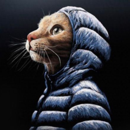 Ruper_Sagas's profile picture. Pamplinas