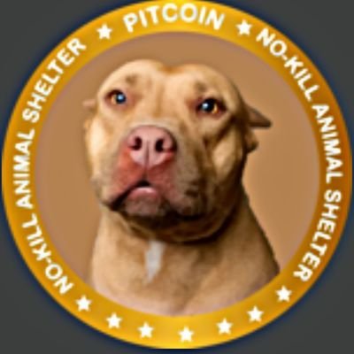 Just launched Pitcoin called -  it has a utility. We rescue pitbulls that are abandoned abused. We  donate a  portion to no kill shelters, GO TO: http://WWW.PIT