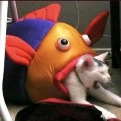 ChuTunThin1's profile picture. Chu