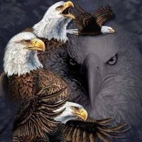 Usaeagle6 (@eagle6mike66) 's Twitter Profile Photo