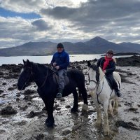 Sandra Ní Chléirigh (@sandyshamone) 's Twitter Profile
