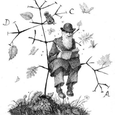 CitizenSideral's profile picture. Undergraduate biologist // learning about coral reefs and cetaceans // physics lover //diver // photographer //