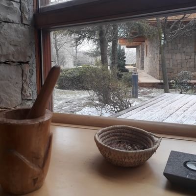 amine29583811's profile picture. 