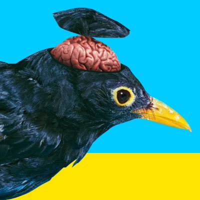 op3nus3r's profile picture. #LogicielLibre #FOSS #NetNeutrality #NoDRM