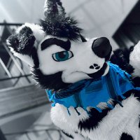 DoubleDog (@ddogx2) 's Twitter Profile