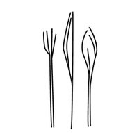 Bluestem Brasserie (@bluestemsf) 's Twitter Profile