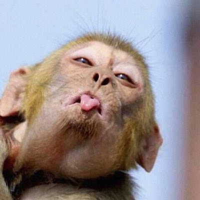 acepc6's profile picture. 