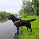 SecureConnecti4's profile picture. 