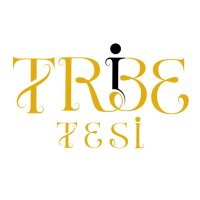 Tribe Tesi(@TribeTesi) 's Twitter Profile Photo