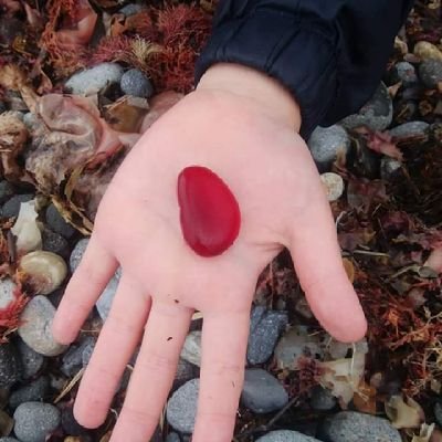 sosuke_seaglass's profile picture. ビーチコーミング専用アカウントを作りました。秋田の海でシーグラスを拾い集ています。無言フォロー失礼いたします。