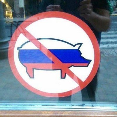 katzengold_'s profile picture. 🇵🇱. software engineer.