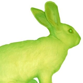 arrota_virus's profile picture. chaotic brazilian autistic scientist who is yet to overcome their emo phase • 24 yr