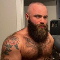 BabyBear(@BabyBearMuscles) 's Twitter Profile Photo