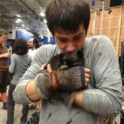 seq_jor's profile picture. ♡