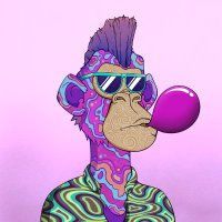 Cary Hals (@caryhals) 's Twitter Profile