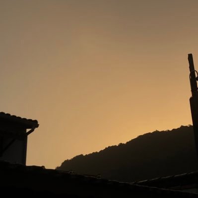 eduardo_ilhoa's profile picture. 