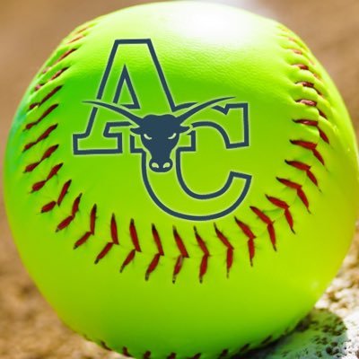 ladymavsoftball Profile Picture