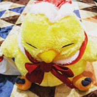 よい@裏側矯正→インビザライン🐤 (@am07_hello) 's Twitter Profile