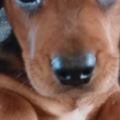 Bigjones2023's profile picture. 