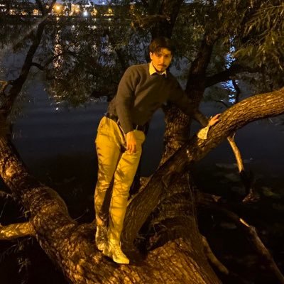 siftingavocado's profile picture. music & films. be kind; to others, to yourself. @wholesomememe