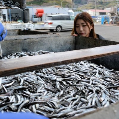長崎県の漁師【天洋丸】の娘のひとりごと🐟長崎や雲仙市のおすすめ発信/🐱 無言フォロー失礼します #保護猫 天ちゃん♀マルちゃん♂