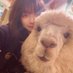 CandyTt (@candytt0211) Twitter profile photo CandyTt (@candytt0211) Twitter profile photo