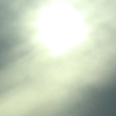 sapdesign's profile picture. I love Texas… it ain’t perfect but neither are you.