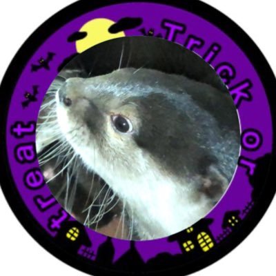 tter93099663's profile picture. YouTubeしてるので 良かったらチャンネル登録宜しくお願いします！https://t.co/WCZKn8XUBT @Hiro63702351←中身 質問箱→https://t.co/GK0ExOPfNY