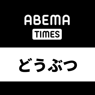 ABEMA TIMES どうぶつジャンルの公式Twitterです。最新のどうぶつ関連のニュース情報をお届けします。

👇どうぶつ関連のニュース一覧はこちら🐶🐱
https://t.co/hVyvm8Njtg