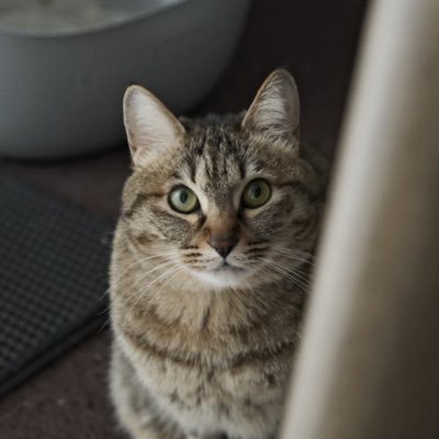 naongnyang's profile picture. 좋은 걸 좋다고 말하고, 일희일비 하면서 음악, 책, 영화, 공연, 전시 …. usw. 그때 그때 생각나는 걸 적습니다!!!