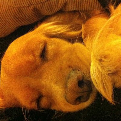 armandosmrt11's profile picture. Estudio.