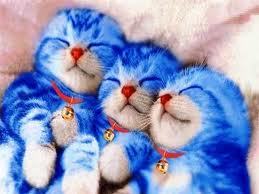 doraemon cute prajuritbowo twitter