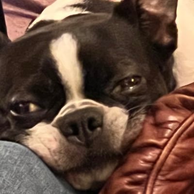 mkisstupid's profile picture. 