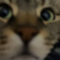 hanoonti (@hvnivh) 's Twitter Profile