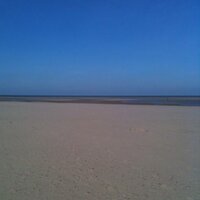 Gerry Moir (@gerry_moir) 's Twitter Profile
