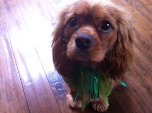 jengirl2477's profile picture. 