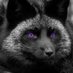 ShowtimeFox123 (@kevinbros123) Twitter profile photo ShowtimeFox123 (@kevinbros123) Twitter profile photo