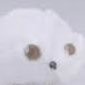 239hin's profile picture. 