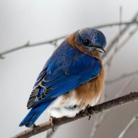 bird 🇺🇦(@FaktorStor) 's Twitter Profile Photo