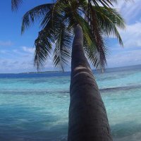 David Jenkins (@davidje02299921) 's Twitter Profile