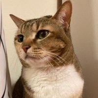 Ting (@tingguowrites) 's Twitter Profile Photo Ting (@tingguowrites) 's Twitter Profile Photo