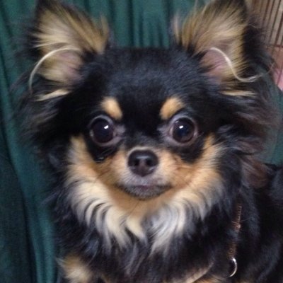 WanpakuMiku's profile picture. 宮崎市でWebサイト制作やECサイトの構築をしています。
フリーランスであることを生かして、お客様に喜ばれるサービスを心がけています。