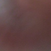 فحل (@sold32891758) Twitter profile photo