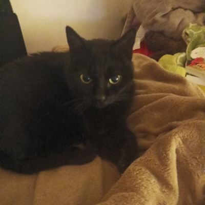 je m'intéresse à bcp de https://t.co/Lyiq3YbLEe.cine.livres.qui a envie de me soutenir ? et être ma compagne ?