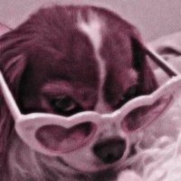 𝐯𝐞𝐫𝐨𝐧𝐢𝐜𝐚 (@mrspaeoniaa_) 's Twitter Profile