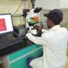 justnyongs's profile picture. BSc biochemistry graduate