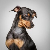s2terryttv (@s2terryttv) 's Twitter Profile