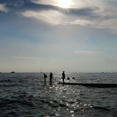 EmmaMorgante's profile picture. 